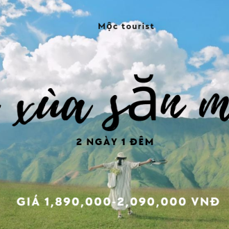 tà xùa săn mây 2N1D