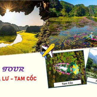 Hoa Lư-Tam Cốc 1 Ngày