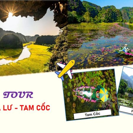 Hoa Lư-Tam Cốc 1 Ngày