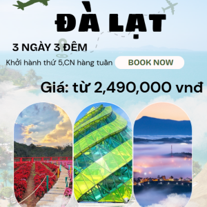 Đà Lạt 3 Ngày 3 Đêm